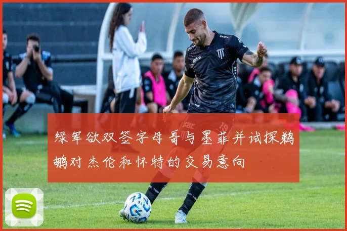 绿军欲双签字母哥与墨菲并试探鹈鹕对杰伦和怀特的交易意向